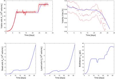 Model-based intensification of CHO cell cultures: One-step strategy from fed-batch to perfusion